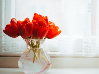 blog image background